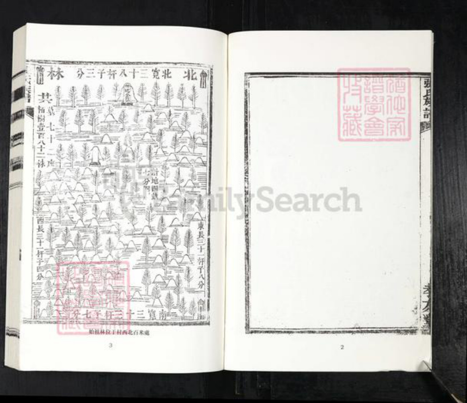 山东省济宁市张氏族谱-张氏族谱.pdf电子版插图3 山东省济宁市张氏族谱-张氏族谱.pdf电子版插图3