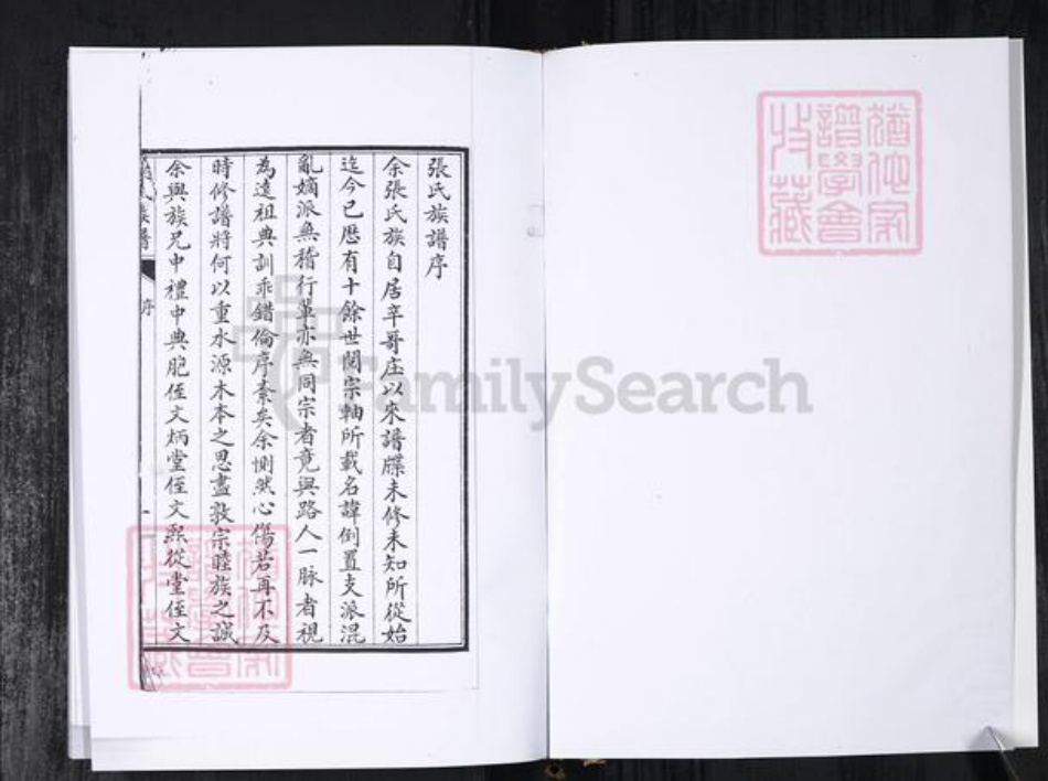 山东省青岛市张氏族谱-张氏族谱.辛戈庄.pdf电子版插图2 山东省青岛市张氏族谱-张氏族谱.辛戈庄.pdf电子版插图2