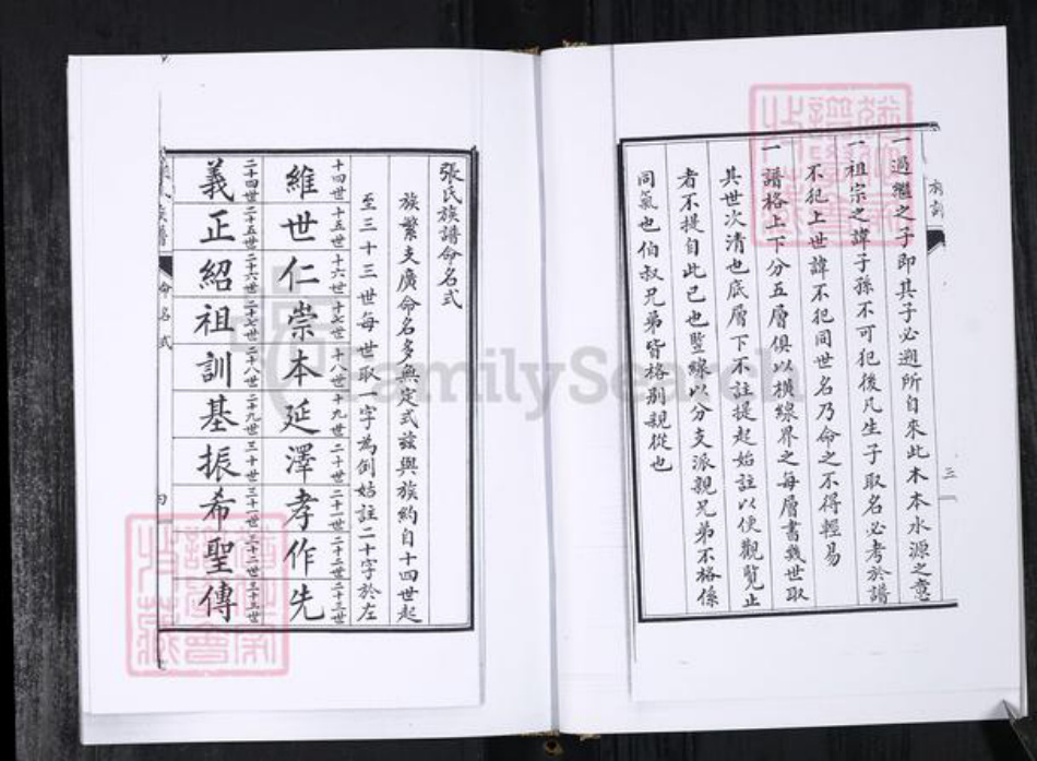 山东省青岛市张氏族谱-张氏族谱.辛戈庄.pdf电子版插图5 山东省青岛市张氏族谱-张氏族谱.辛戈庄.pdf电子版插图5