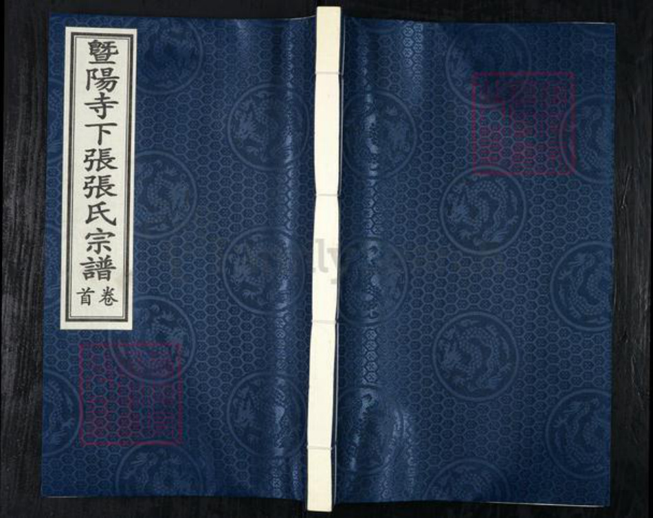 浙江省绍兴诸暨市牌头镇张氏芝泉堂族谱-暨阳寺下张张氏宗谱.pdf电子版