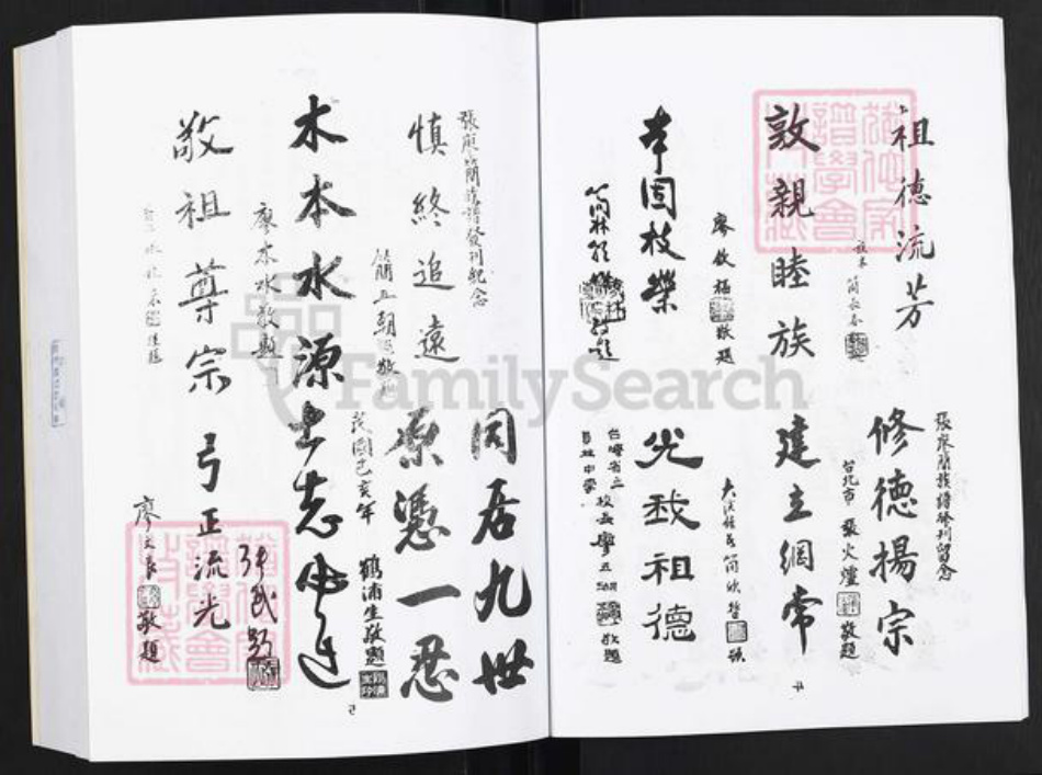 福建省张氏族谱-张氏大族谱.pdf电子版插图4 福建省张氏族谱-张氏大族谱.pdf电子版插图4