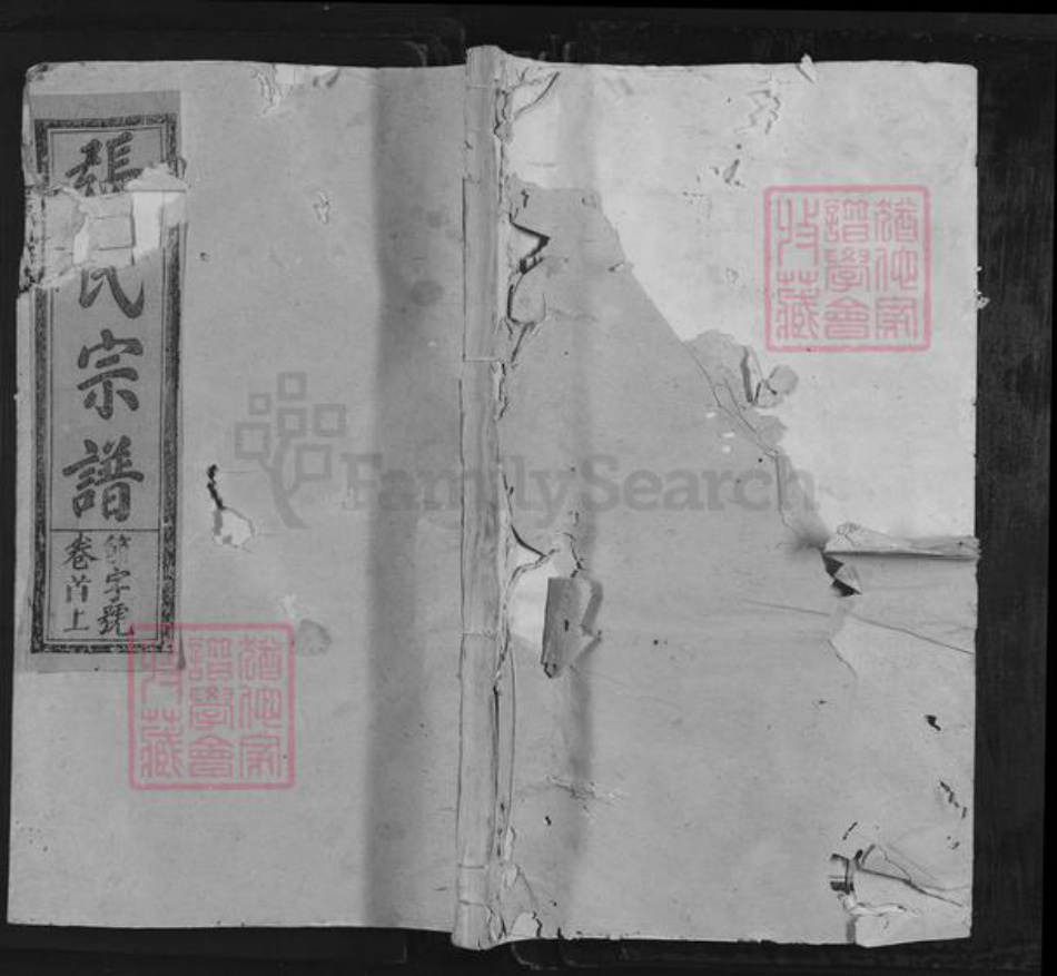 江西省上饶市上饶县湖村乡张氏族谱-清河张氏宗谱.pdf电子版