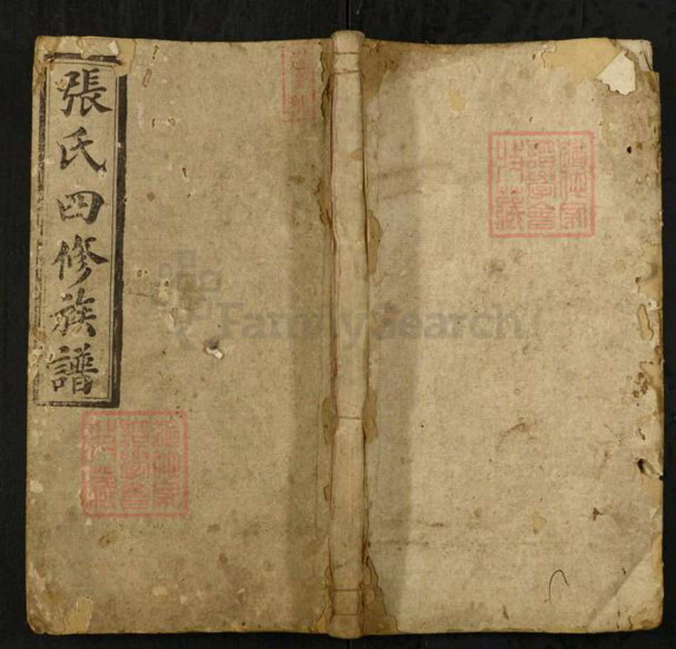 湖南省邵阳市隆回县张氏源流堂族谱-张氏四修族谱.pdf电子版