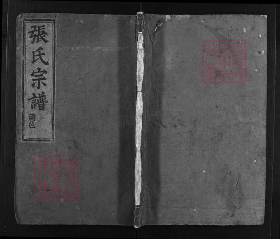 浙江省温州市平阳县张氏族谱-张氏宗谱 [不分卷].pdf电子版插图1
