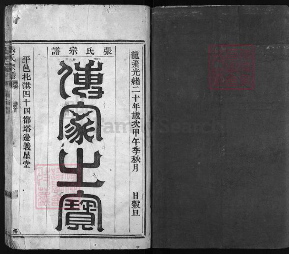 浙江省温州市平阳县张氏族谱-张氏宗谱 [不分卷].pdf电子版插图2