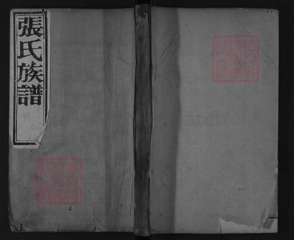 山东省泰安市肥城市汶阳镇张氏族谱-张氏族谱.pdf电子版