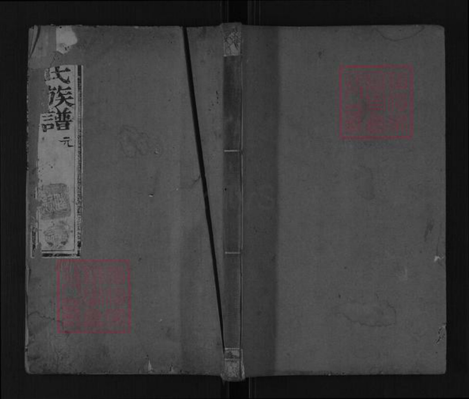 山东省泰安市肥城市汶阳镇张氏族谱-泰邑张氏族谱.pdf电子版