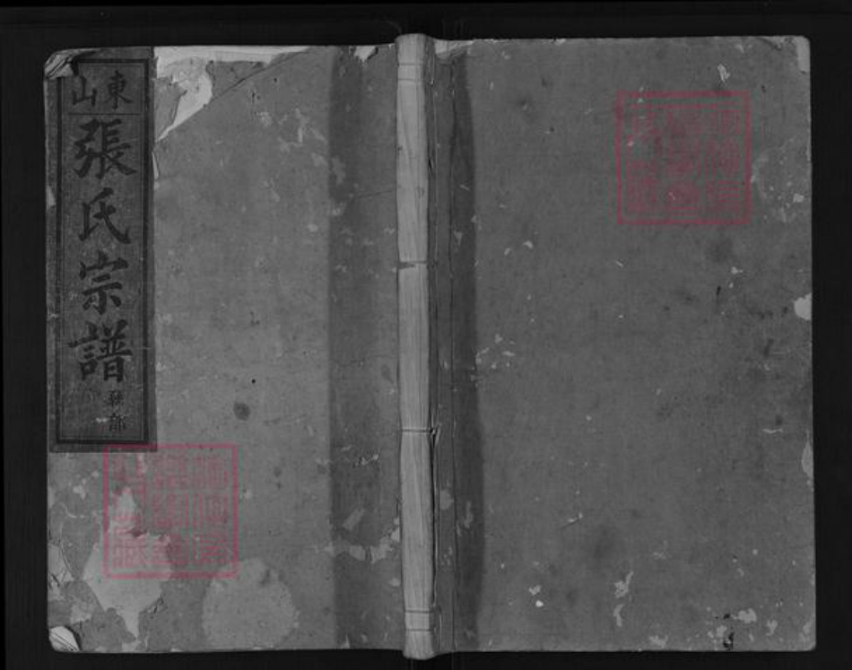 浙江省衢州衢江区云溪乡张氏族谱-东山张氏宗谱.pdf电子版