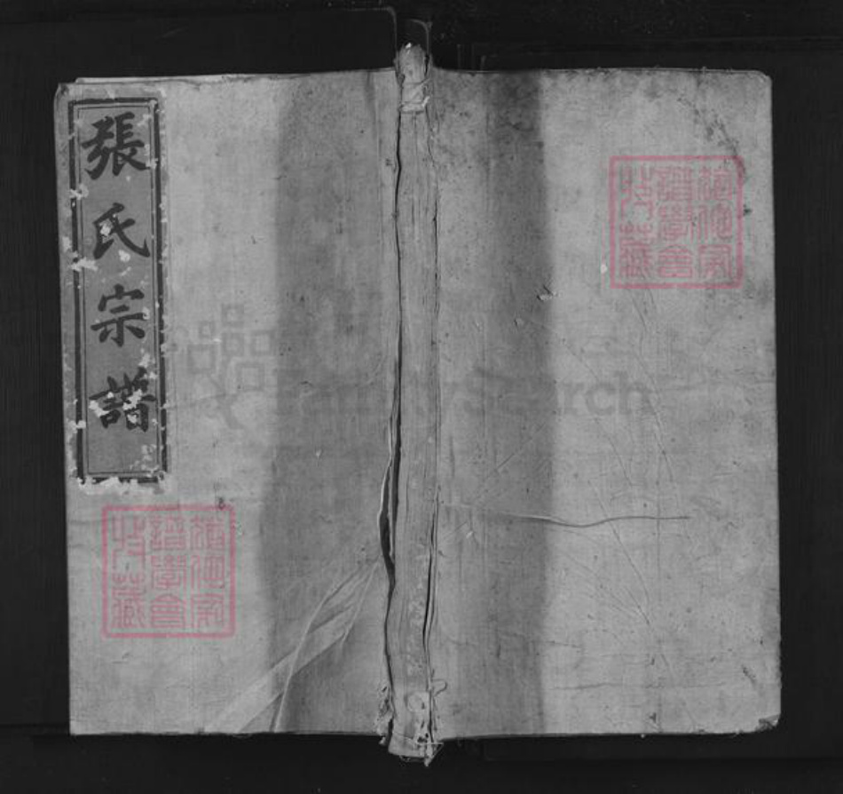 江西省上饶市德兴市银城街道张氏族谱-清河世家张氏宗谱.pdf电子版