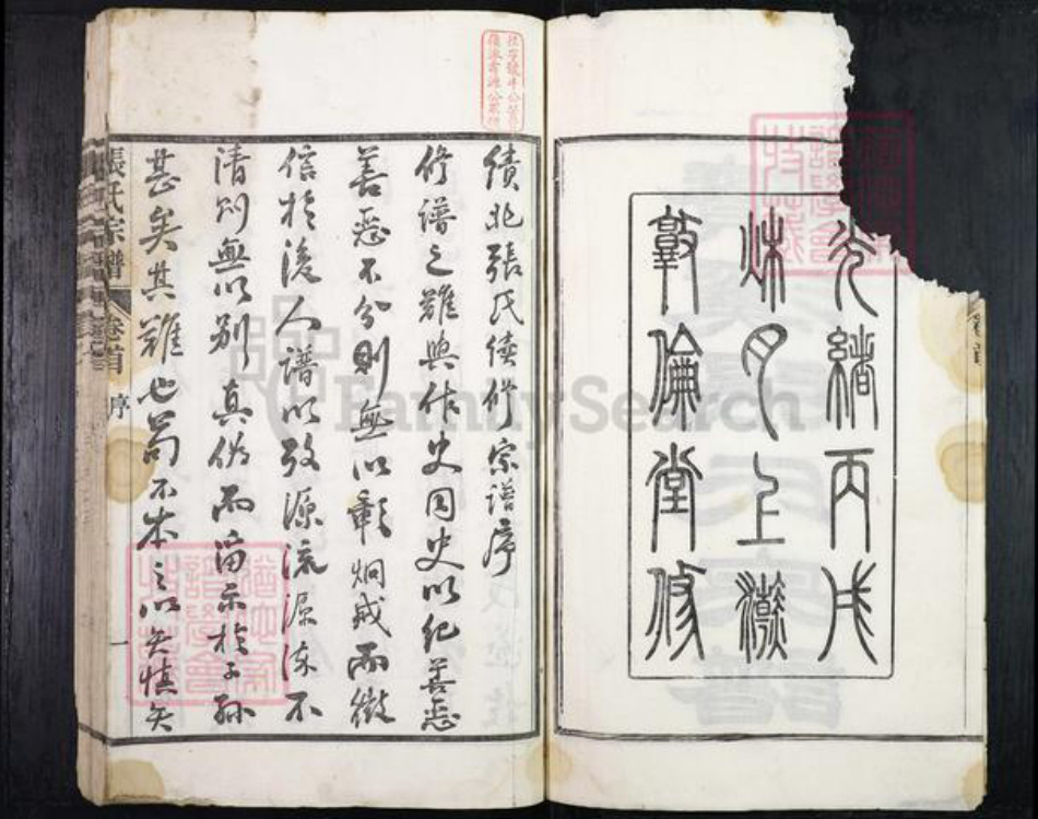 安徽省宣城市绩溪县张氏族谱-绩溪张氏宗谱.pdf电子版插图2 安徽省宣城市绩溪县张氏族谱-绩溪张氏宗谱.pdf电子版插图2