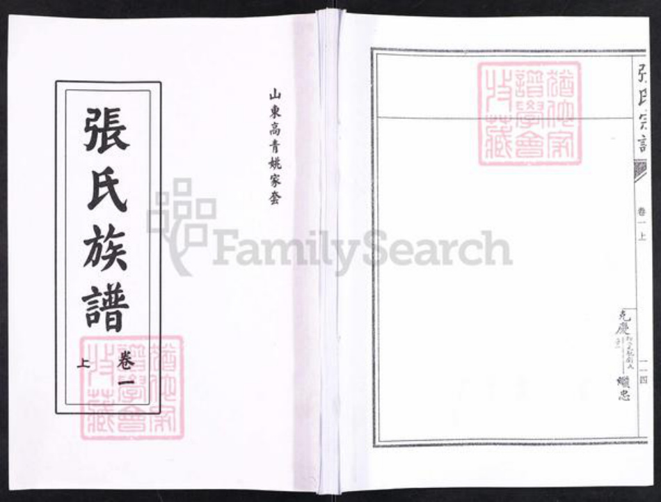 山东省淄博市高青县青城镇张氏族谱-山东高青姚家套张氏族谱.pdf电子版