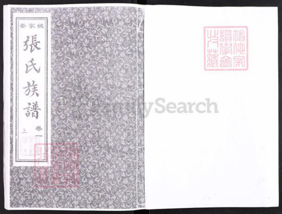 山东省淄博市高青县青城镇张氏族谱-山东高青姚家套张氏族谱.pdf电子版插图1