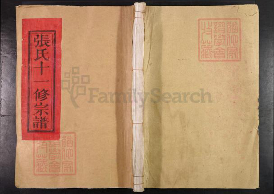 江西省抚州市临川区张氏族谱-梅溪张氏大宗谱.pdf电子版