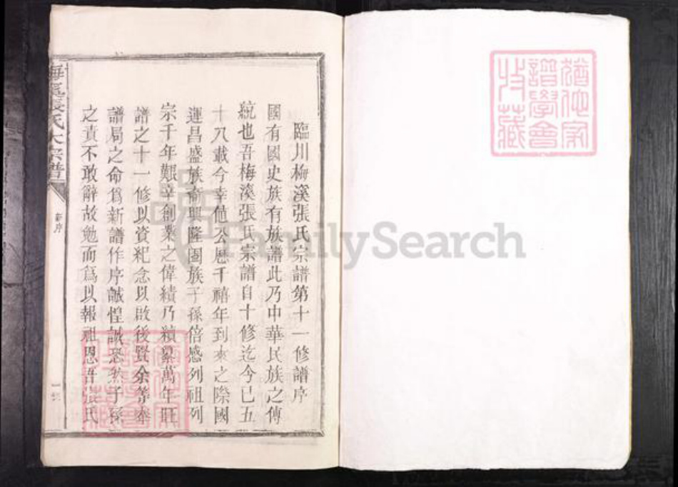 江西省抚州市临川区张氏族谱-梅溪张氏大宗谱.pdf电子版插图1