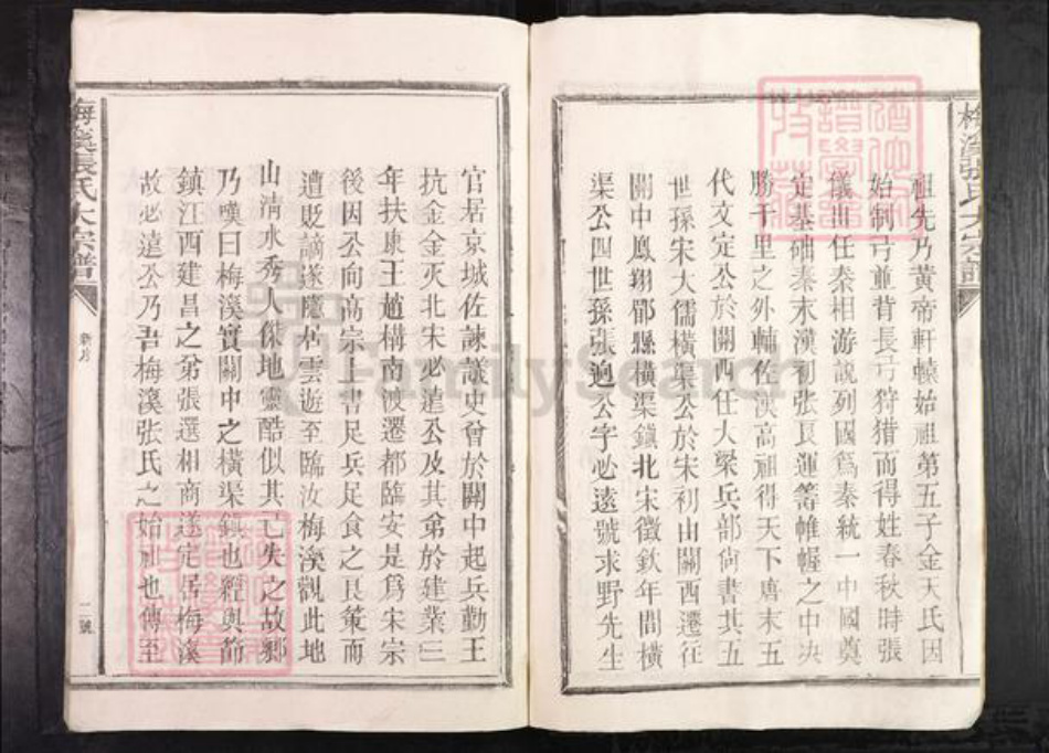 江西省抚州市临川区张氏族谱-梅溪张氏大宗谱.pdf电子版插图2