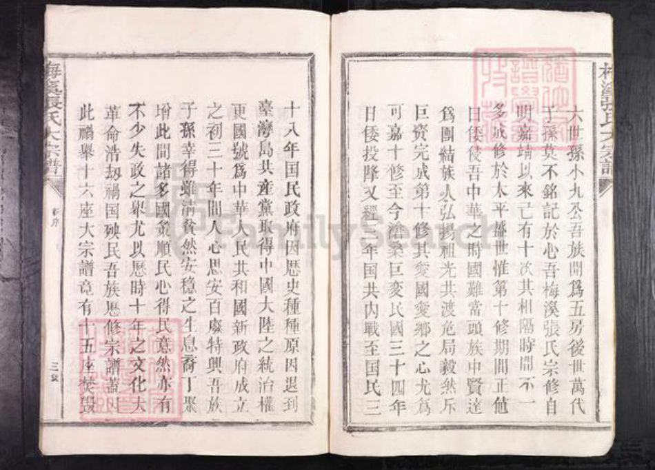 江西省抚州市临川区张氏族谱-梅溪张氏大宗谱.pdf电子版插图3