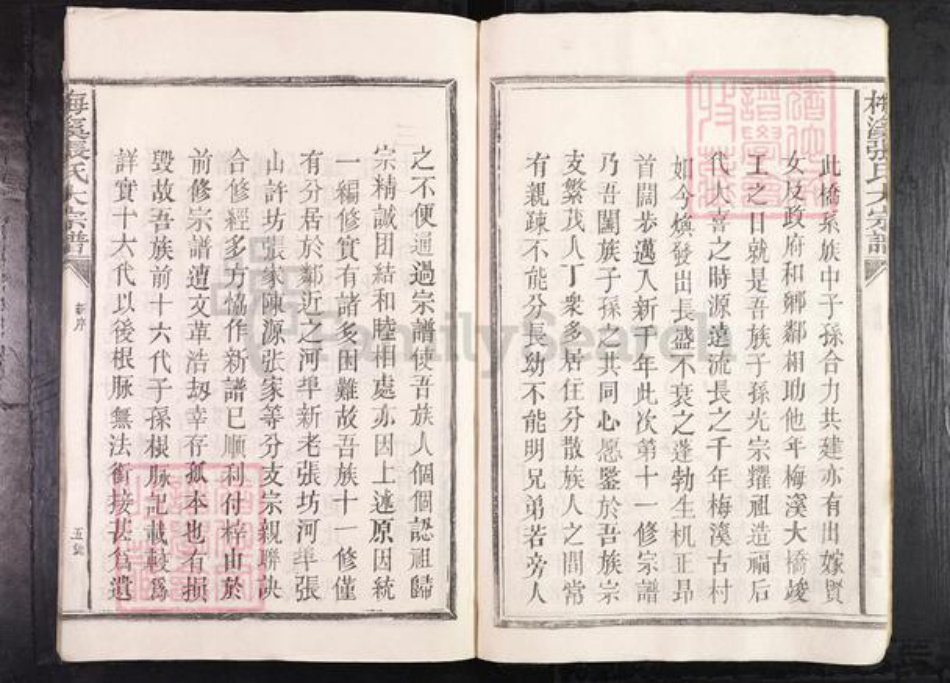 江西省抚州市临川区张氏族谱-梅溪张氏大宗谱.pdf电子版插图4