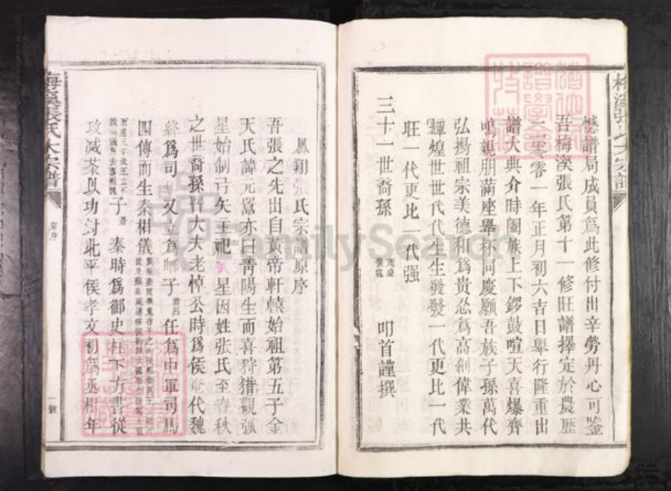 江西省抚州市临川区张氏族谱-梅溪张氏大宗谱.pdf电子版插图5