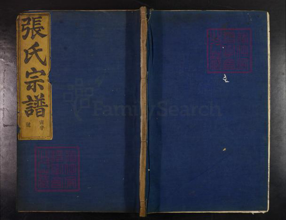 浙江省绍兴新昌县巧英乡张氏㫥穆堂族谱-中溪张氏宗谱.pdf电子版