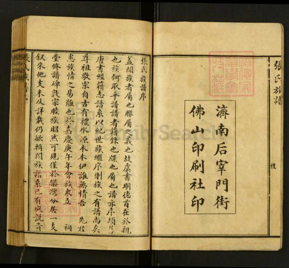 山东省泰安市肥城市张氏族谱-张氏族谱.pdf电子版插图2 山东省泰安市肥城市张氏族谱-张氏族谱.pdf电子版插图2