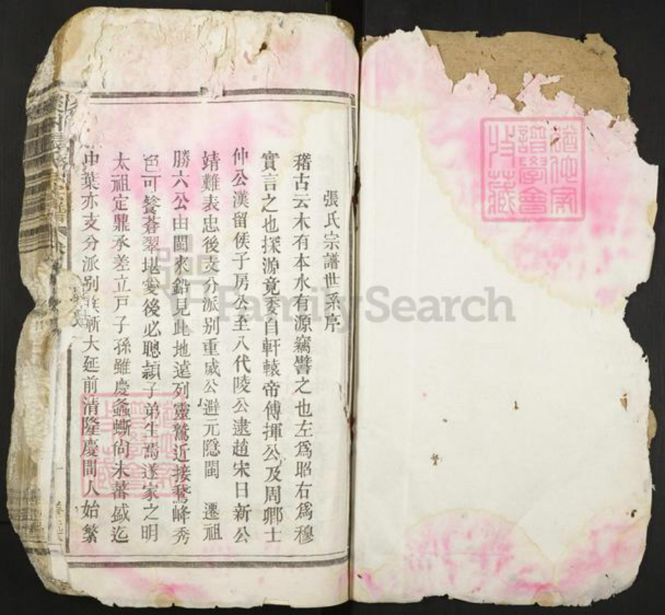 江西省上饶市铅山县鹅湖镇张氏善述堂族谱-后州张氏族谱.pdf电子版插图1 江西省上饶市铅山县鹅湖镇张氏善述堂族谱-后州张氏族谱.pdf电子版插图1