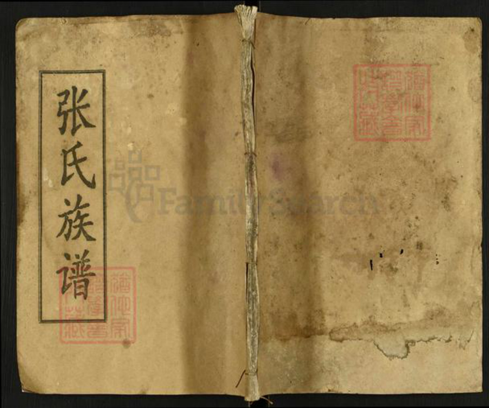 湖南省岳阳市平江县梅仙镇张氏清河堂族谱-张氏族谱.pdf电子版