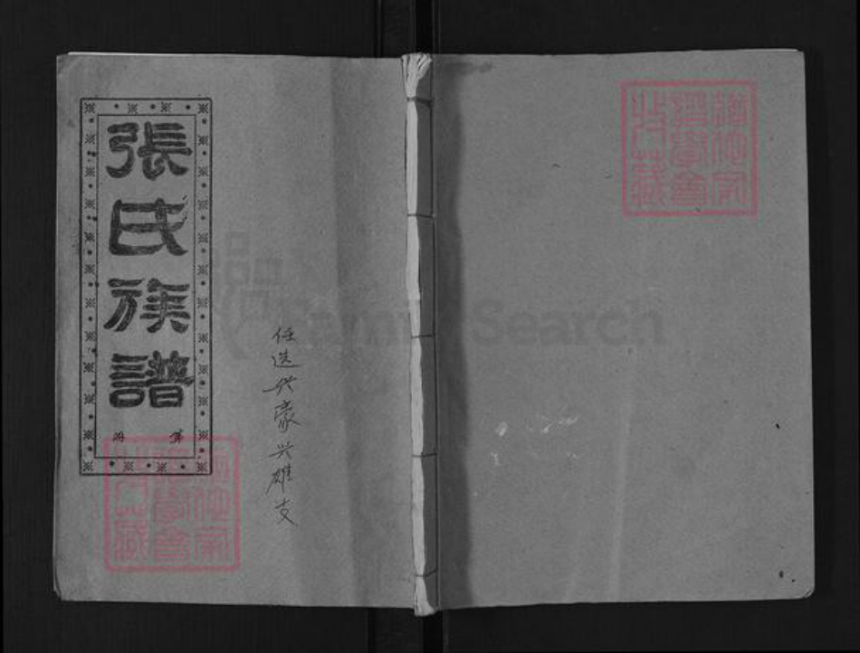 湖南省岳阳市平江县梅仙镇张氏清河堂族谱-张氏族谱.pdf电子版