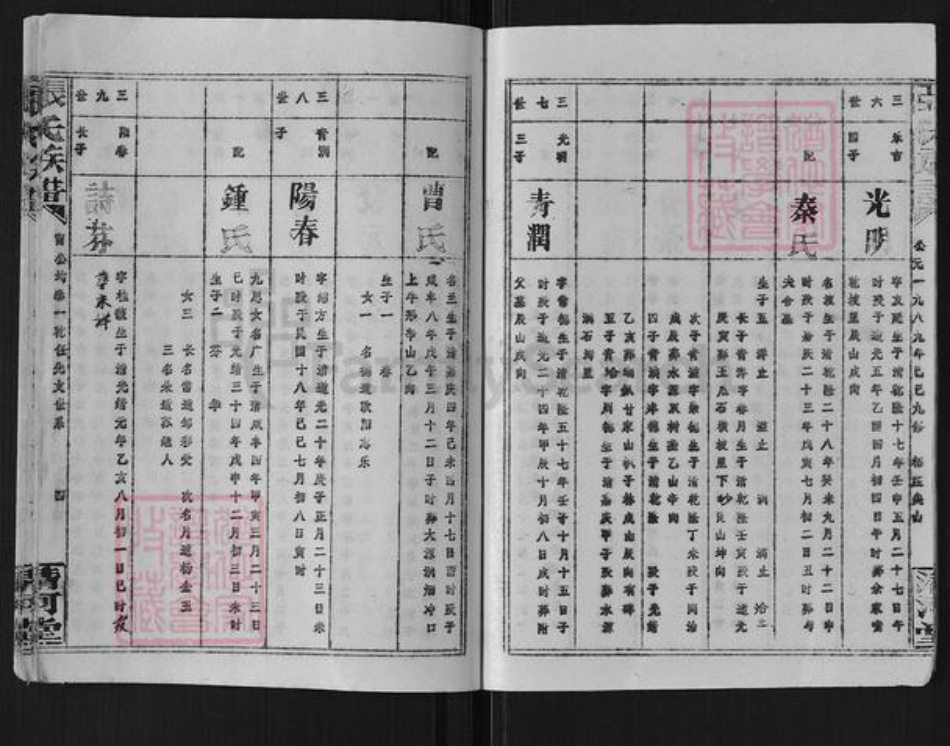 湖南省岳阳市平江县梅仙镇张氏清河堂族谱-张氏族谱.pdf电子版插图5 湖南省岳阳市平江县梅仙镇张氏清河堂族谱-张氏族谱.pdf电子版插图5