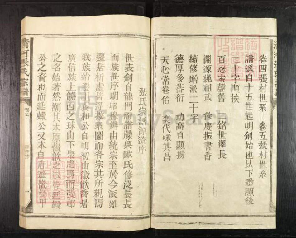 江西省上饶市上饶县张氏族谱-清河张氏宗谱.pdf电子版插图2 江西省上饶市上饶县张氏族谱-清河张氏宗谱.pdf电子版插图2