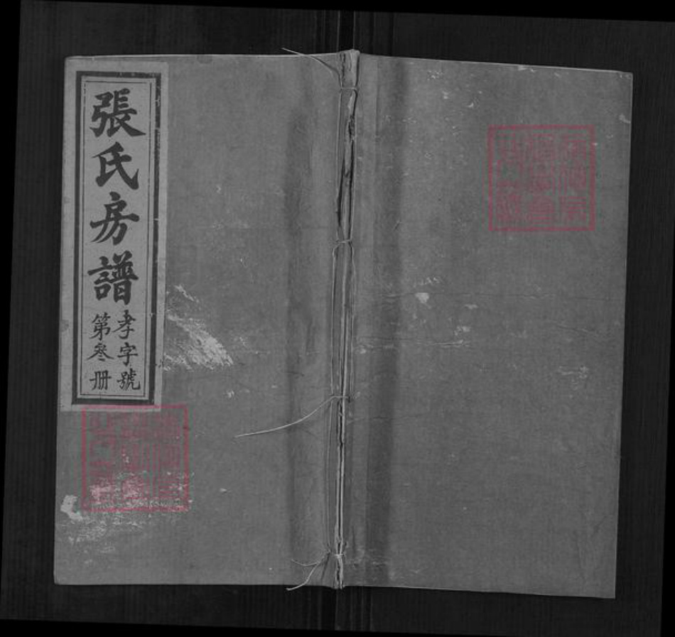 福建省福州市闽侯县张氏族谱-张氏房谱.pdf电子版