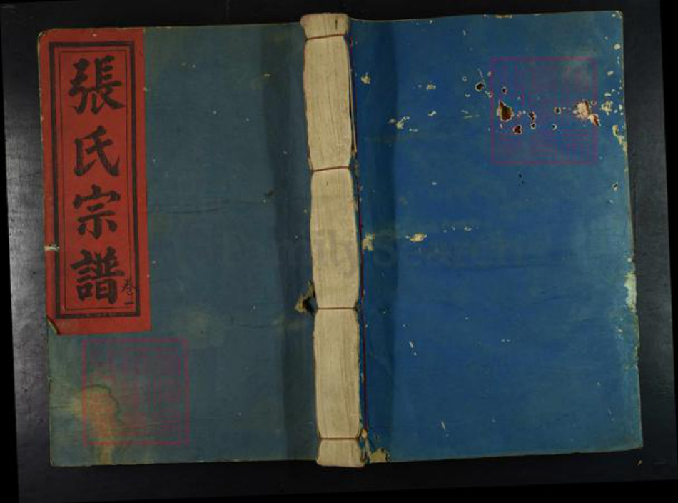 江西省九江市修水县江西省九江市修水县义宁镇张氏孝友堂族谱-张氏宗谱.pdf电子版