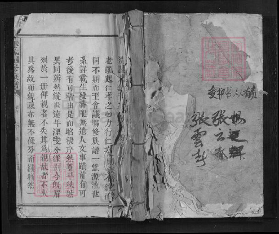 江西省抚州市南丰县江西省赣州市兴国县鼎龙乡张氏族谱-张氏四修族谱.pdf电子版