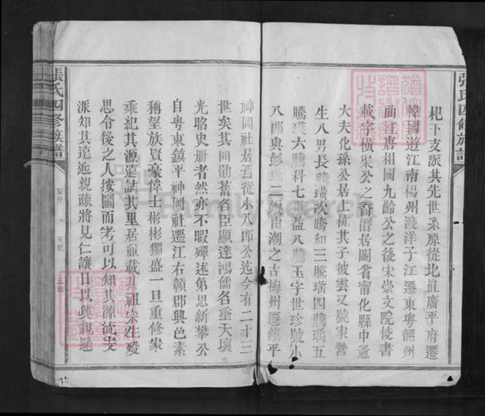 江西省抚州市南丰县江西省赣州市兴国县鼎龙乡张氏族谱-张氏四修族谱.pdf电子版插图4 江西省抚州市南丰县江西省赣州市兴国县鼎龙乡张氏族谱-张氏四修族谱.pdf电子版插图4