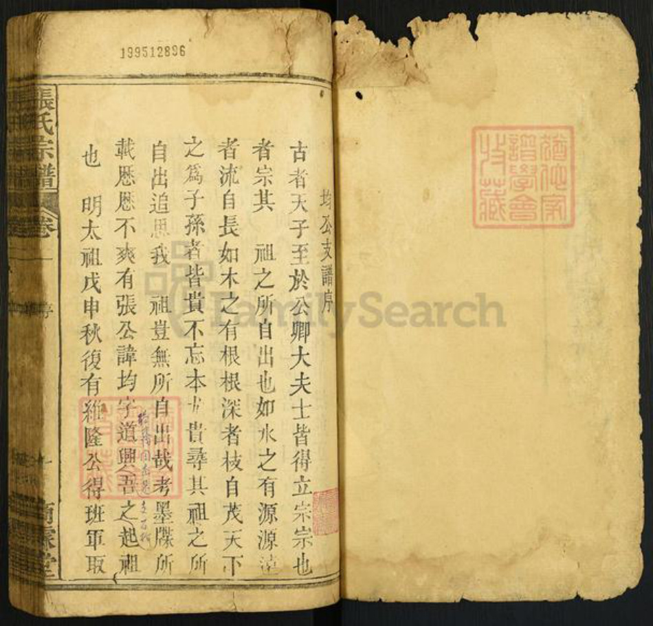 河北省邢台南宫市湖北省黄冈市浠水县张氏商霖堂族谱-清河张氏大成宗谱.pdf电子版插图1 河北省邢台南宫市湖北省黄冈市浠水县张氏商霖堂族谱-清河张氏大成宗谱.pdf电子版插图1