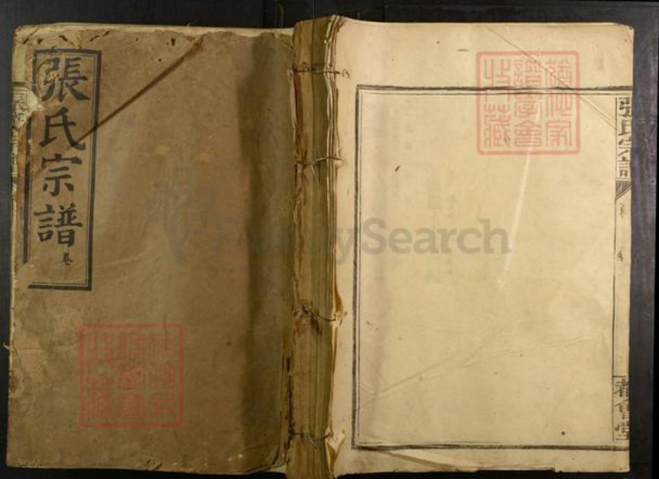 江西省赣州市宁都县湖北省武汉市蔡甸区张氏都会堂族谱-张氏宗谱.pdf电子版