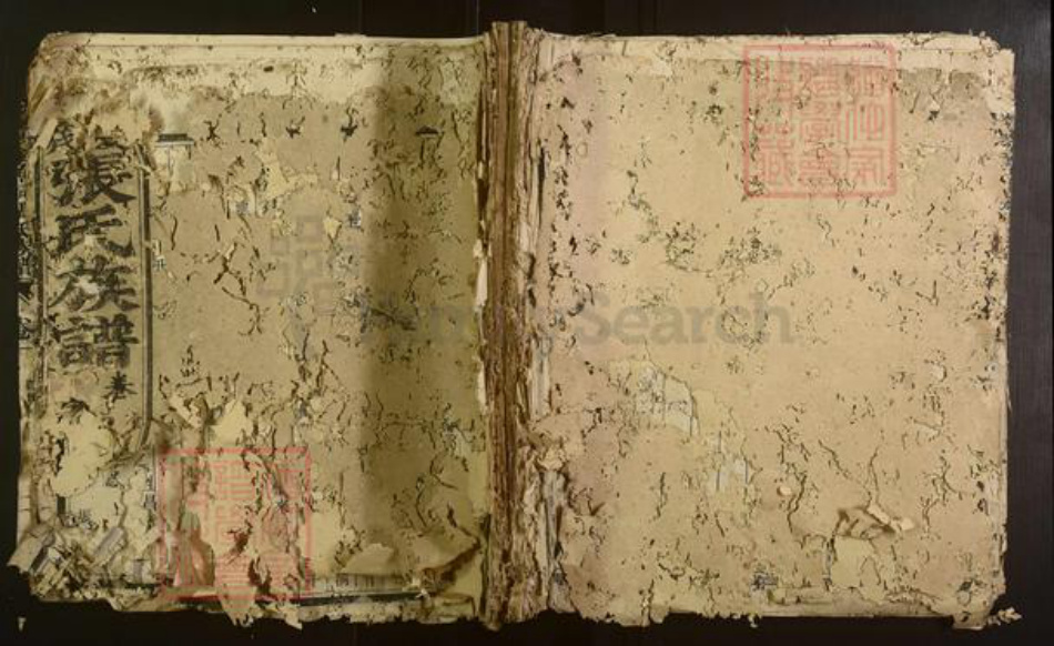 福建省三明市沙县张氏族谱-夏茂金鱼祠张氏族谱[不分卷].pdf电子版