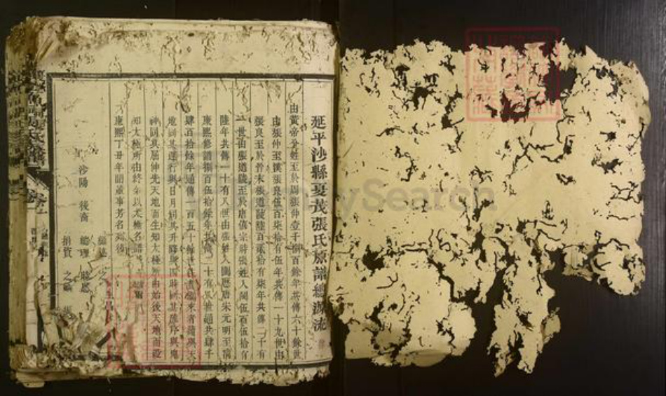 福建省三明市沙县张氏族谱-夏茂金鱼祠张氏族谱[不分卷].pdf电子版插图1