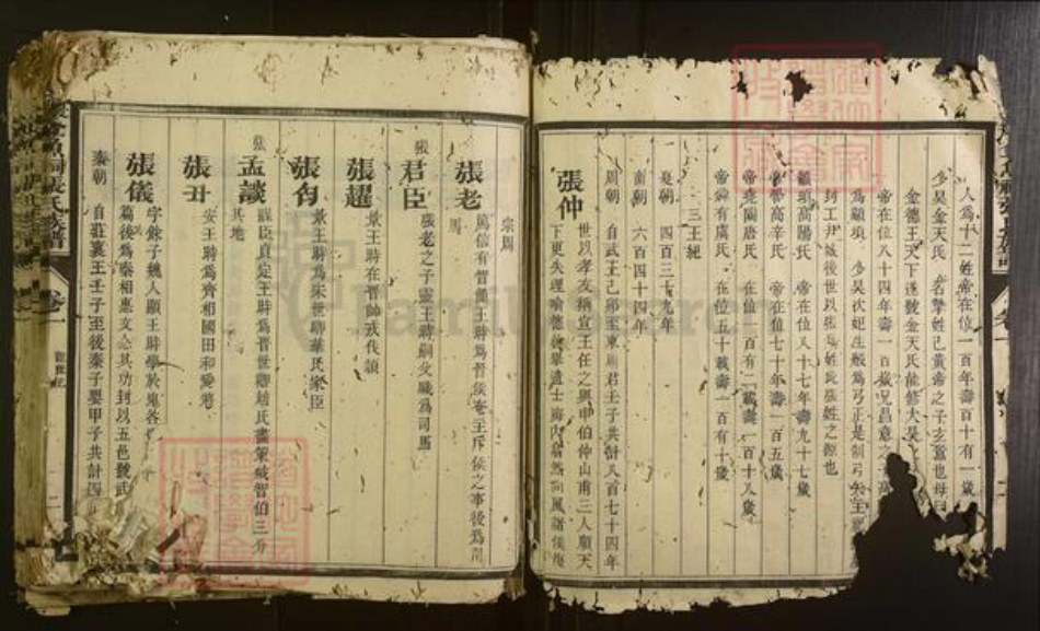 福建省三明市沙县张氏族谱-夏茂金鱼祠张氏族谱[不分卷].pdf电子版插图3