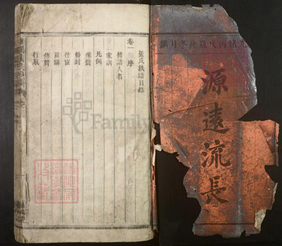 湖南省郴州市桂阳县张氏族谱-桂阳张氏族谱[3卷].pdf电子版插图1