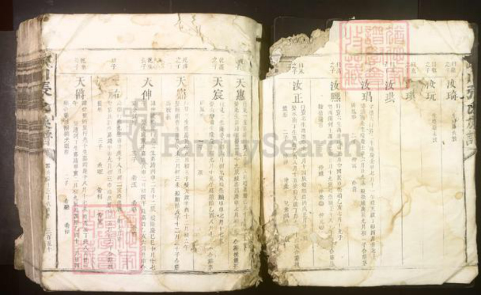 江西省吉安市峡江县张氏族谱-峡川张氏族谱[不分卷].pdf电子版插图1