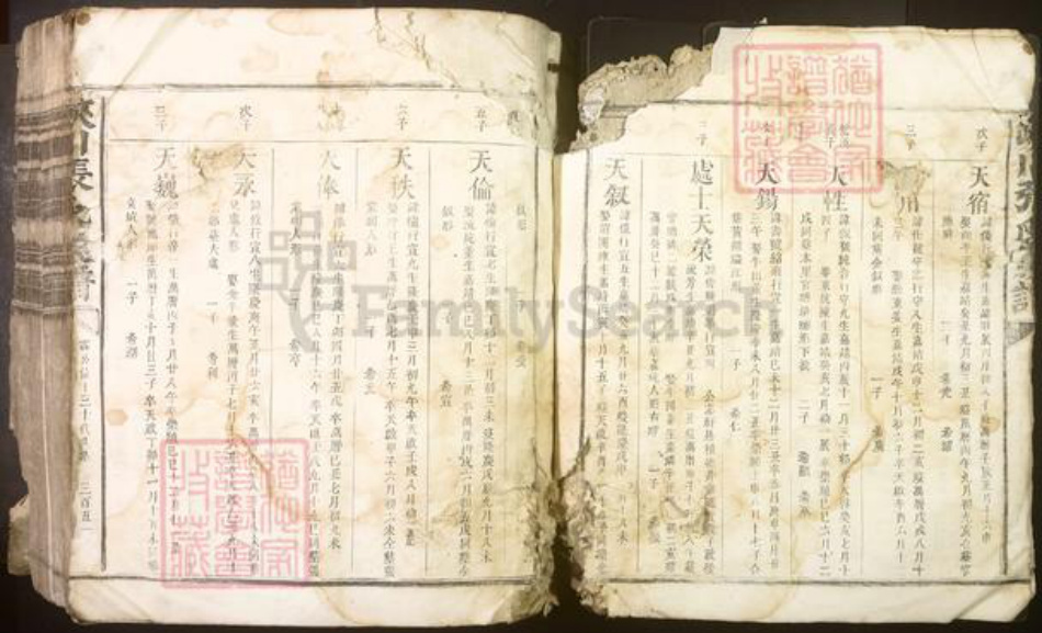 江西省吉安市峡江县张氏族谱-峡川张氏族谱[不分卷].pdf电子版插图2