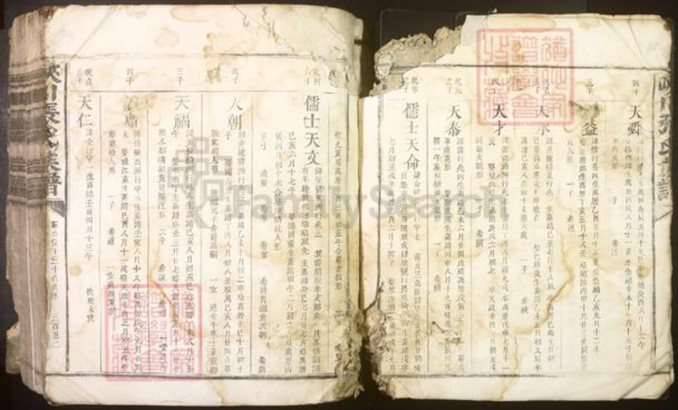 江西省吉安市峡江县张氏族谱-峡川张氏族谱[不分卷].pdf电子版插图3