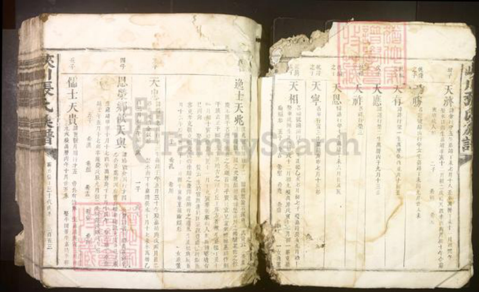 江西省吉安市峡江县张氏族谱-峡川张氏族谱[不分卷].pdf电子版插图4