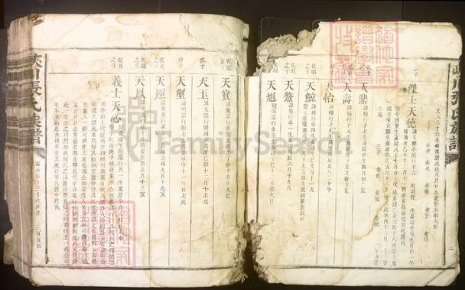 江西省吉安市峡江县张氏族谱-峡川张氏族谱[不分卷].pdf电子版插图5