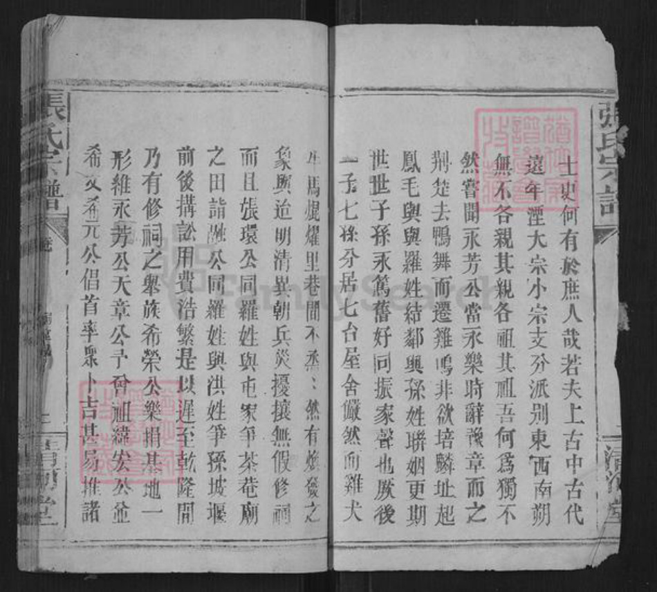 湖北省孝感市汉川市张氏族谱-张氏宗谱.pdf电子版插图2 湖北省孝感市汉川市张氏族谱-张氏宗谱.pdf电子版插图2