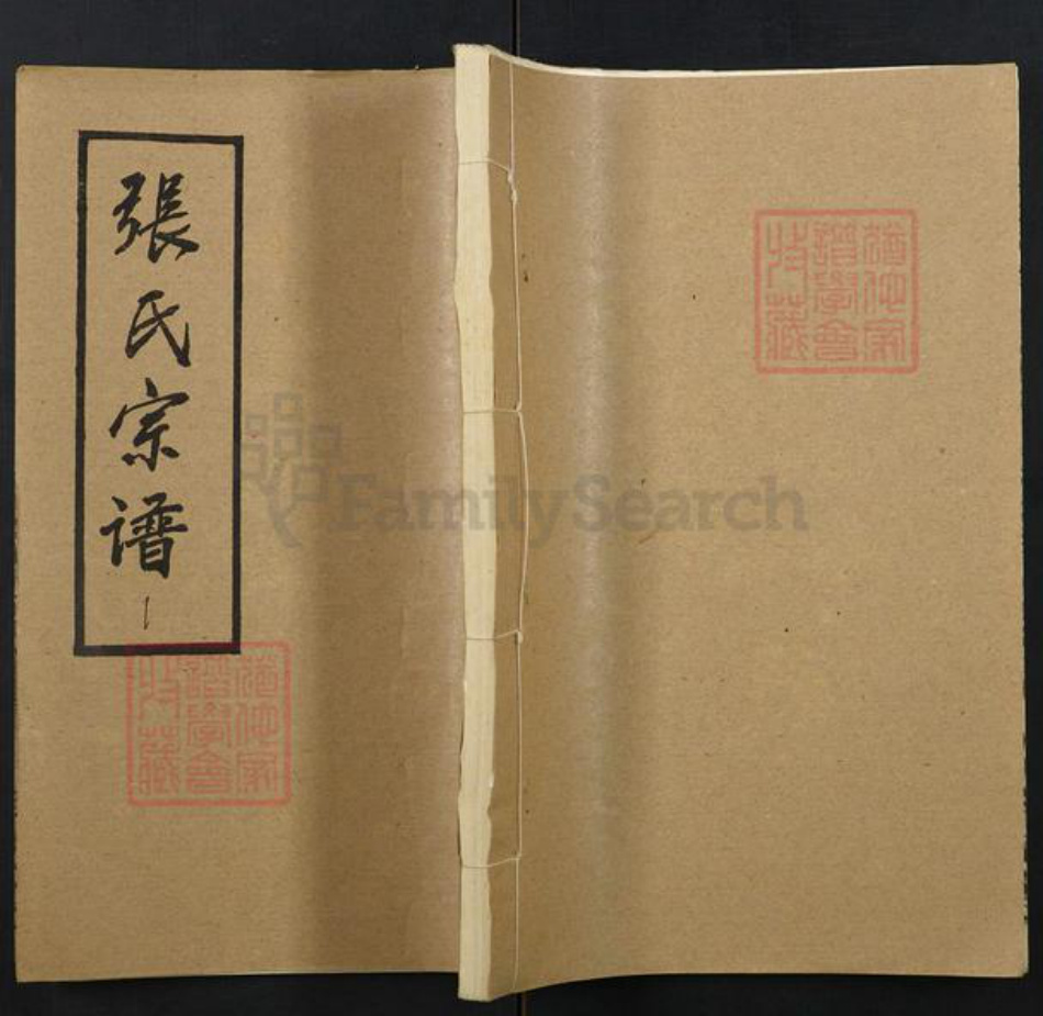 湖北省黄冈市张氏族谱-张氏宗谱.pdf电子版