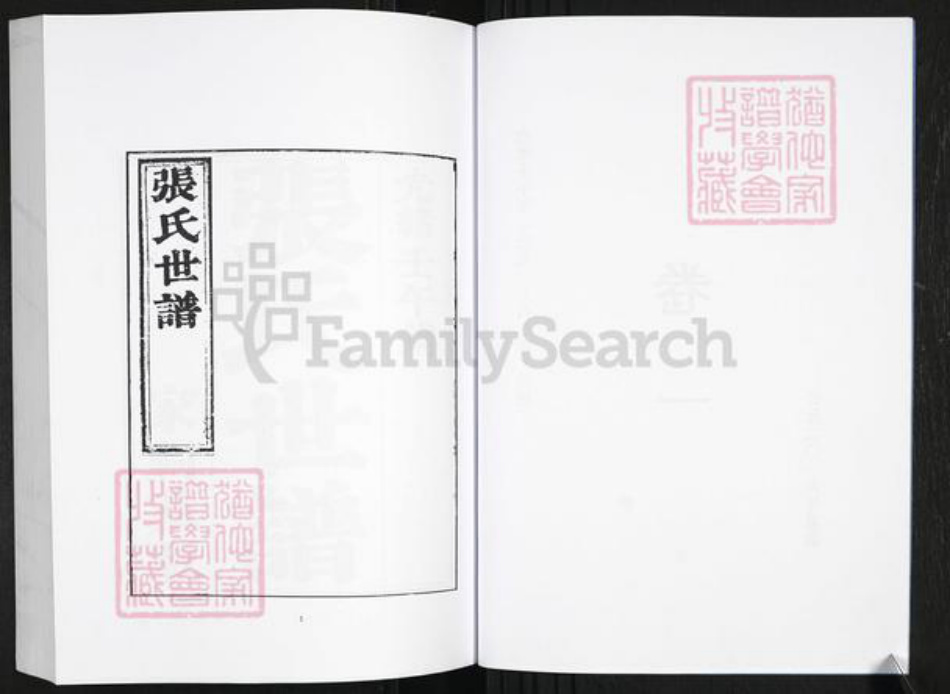 山东省淄博市桓台县张氏族谱-张氏世谱[2卷].pdf电子版插图5