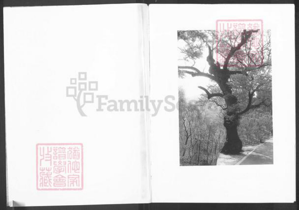 山东省潍坊市临朐县赵氏族谱-赵氏族谱.pdf电子版插图2 山东省潍坊市临朐县赵氏族谱-赵氏族谱.pdf电子版插图2