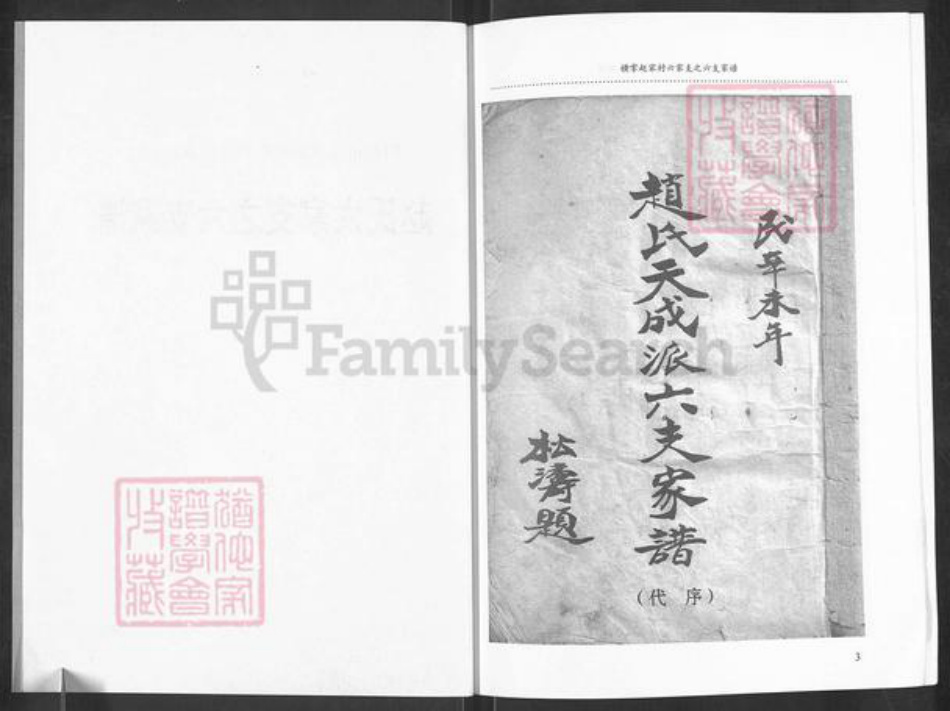 山东省烟台市招远市赵氏族谱-赵氏六家支之六支家谱.pdf电子版插图3