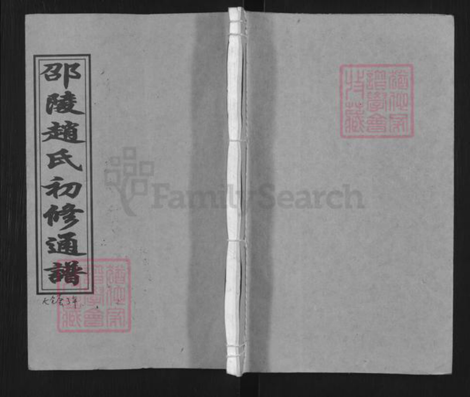 湖南省邵阳市邵东市赵氏琴鹤堂族谱-邵陵赵氏初修通谱.pdf电子版